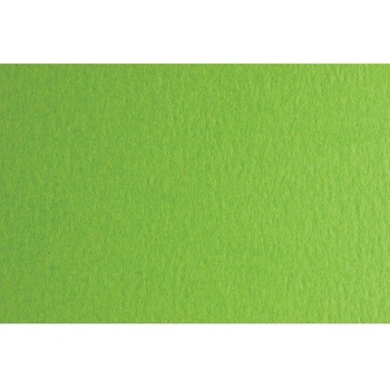 Fabriano Картон Colore, 50 x 70 cm, 140 g/m2, № 230, тревист (1530100053)