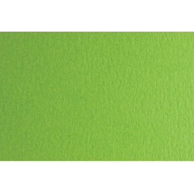 Fabriano Картон Colore, 50 x 70 cm, 140 g/m2, № 230, тревист (1530100053)