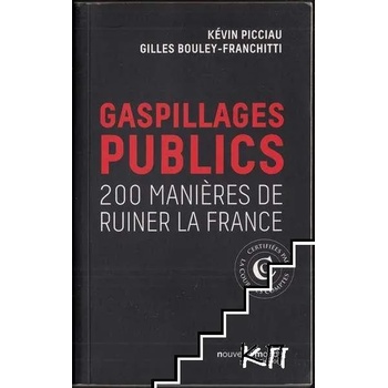 Gaspillage public: 200 manières de ruiner la France