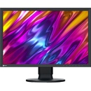 EIZO ColorEdge CG2400S