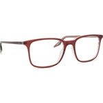 Ray-Ban 0RX5421 8171 55