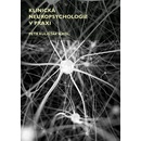 Klinická neuropsychologie v praxi - Petr Kulišťák