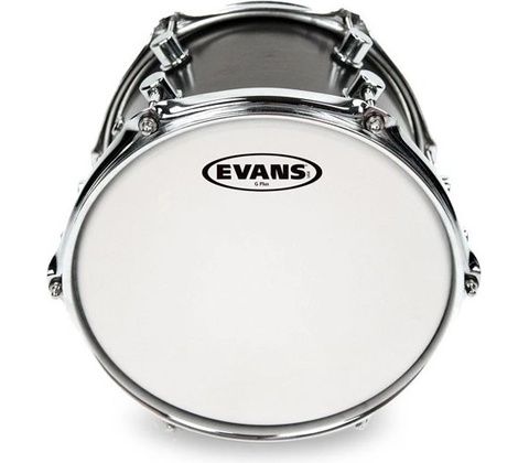 Evans 14" G12 Clear