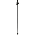 Völkl Speedstick Carbon