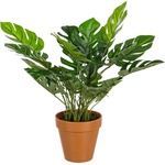 Bizzotto ИЗКУСТВЕНО РАСТЕНИЕ philodendron 45cm (0172399)