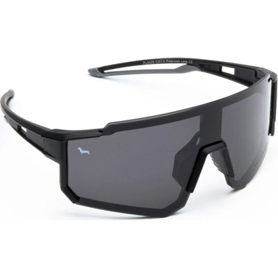 Kašmír STATE POLARIZED SSTP3