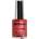 Andreia Professional Hybrid Fusion H50 10,5 ml