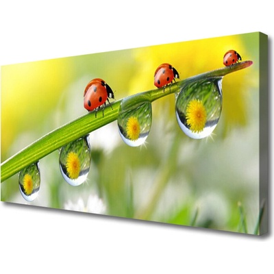 Obraz na plátně List Berušky Příroda 100x50 cm