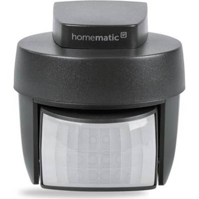 Homematic HmIP-SMO-A-2