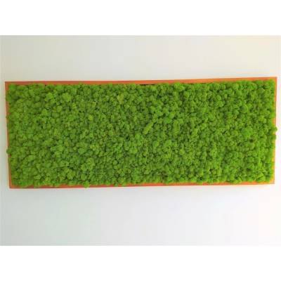 Mechový obraz teak 60cm x 120cm