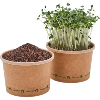 TINY GREENS Kapusta - BIO semienka na klíčenie a microgreens