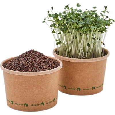TINY GREENS Kapusta - BIO semienka na klíčenie a microgreens