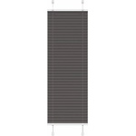 vidaXL Плисирана щора черна 50x100 cm Ширина на плата 49, 4 cm (4015116)