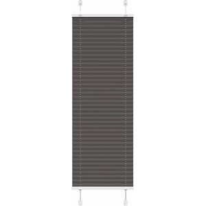 vidaXL Плисирана щора черна 50x100 cm Ширина на плата 49, 4 cm (4015116)