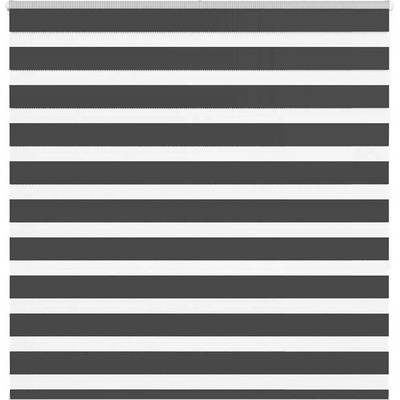VidaXL Roleta zebra, černá, 140, 9 Cm, polyester