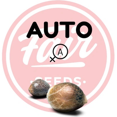 Fair Seeds AUTO Jack semienka neobsahujú THC 5 ks