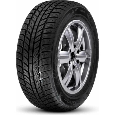RoadX Frost 195/55 R16 87V