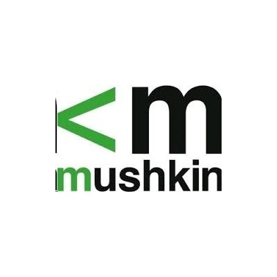 Mushkin MES4S240HF16G