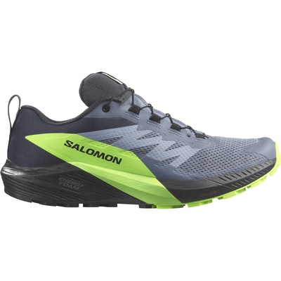 Salomon Мъжки маратонки Salomon Sense Ride 5 GTX Trail running shoes - Flint Stone / Black / Green Gecko - размер 40 (EU) (023-1365-0311)