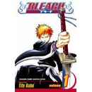 Bleach, Vol. 1