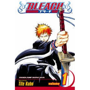 Bleach, Vol. 1
