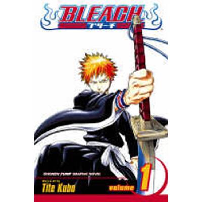 Bleach, Vol. 1