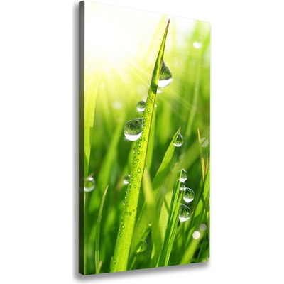 Vertikálny foto obraz canvas Steblo trávy 50x100 cm