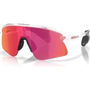 Oakley Stunt Devil