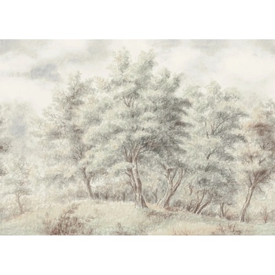 Komar Vliesová fototapeta Grove 250 x 350 cm