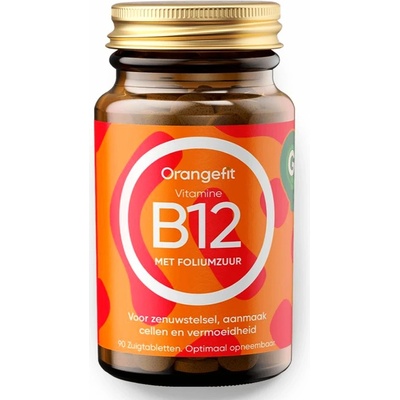 Vitamine B12 with Folic Acid 90 pastilek