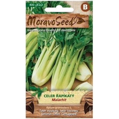 MoravoSeed Celer řapíkatý Malachit