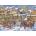 House of Puzzles - Puzzle Old Time Shopping XL - 250 piese