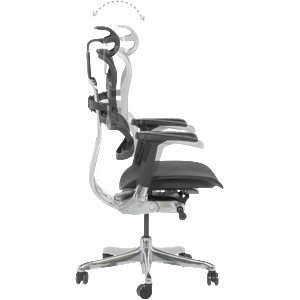  Ергономичн стол ergohuman elite 2 - черен (b3520660)