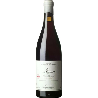 Envinate Migan Tinto 2024 Červené 12,5% 0,75 l (holá láhev)