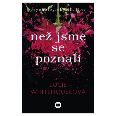 Než jsme se poznali