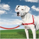PetSafe Postroj EasyWalk M