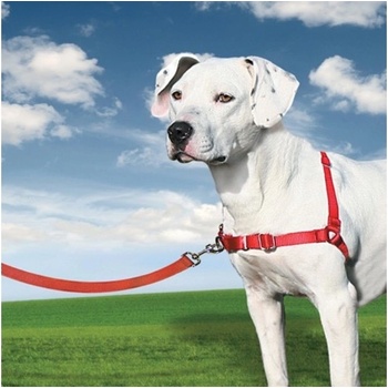 PetSafe Postroj EasyWalk M