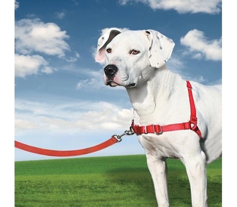 PetSafe Postroj EasyWalk M