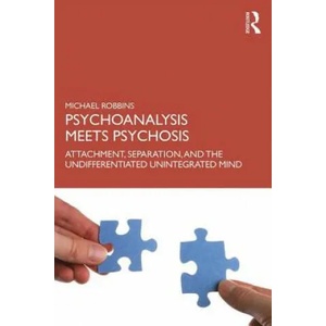 Psychoanalysis Meets Psychosis | Robbins, Michael (ISBN: 9780367191177)