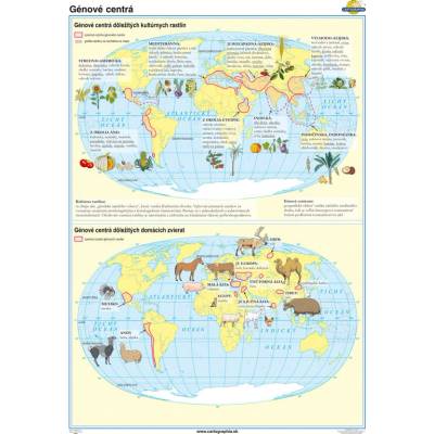 Cartographia Génové centrá (120x160 cm), nástenná mapa, fóliovaná, lištovaná