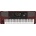 Korg PA1000