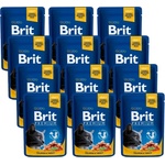 Brit Cat СЪМГА и ПЪСТЪРВА 12x100г