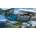 Microsoft Flight Simulator 40th Anniversary