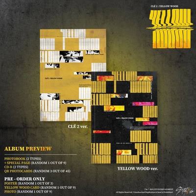 Cle 2 - Yellow Wood - Random Cover - Incl. Photo Book + 3 x QR PhotoCards - Stray Kids CD