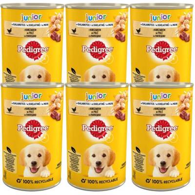 Pedigree Junior s kuracím mäsom v želé 6 x 400 g