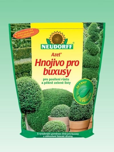 Buxusy