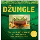 Džungle