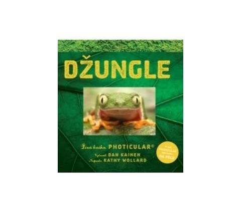 Džungle