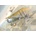 Roden Sopwith Strutter 1:32 11:2