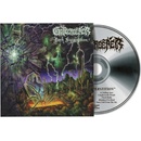 Gatecreeper: Dark Superstition CD